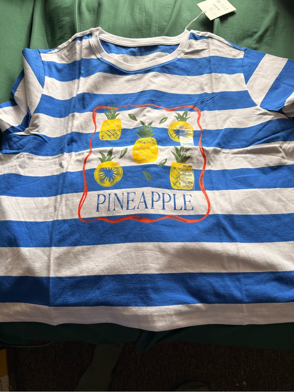 Pineapple Graphic Striped women’s Tee - Blue & White